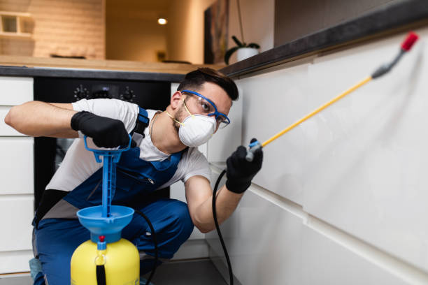 Best Wasp Removal Services  in Lewisburg, TN