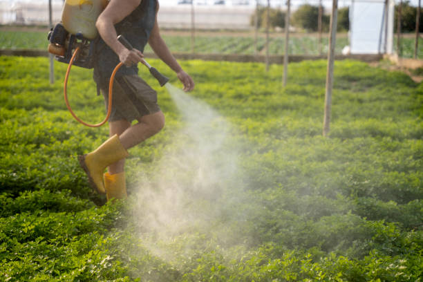 Pest Control for Restaurants in Lewisburg, TN