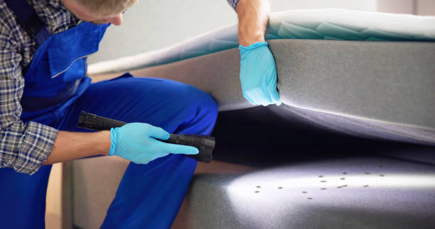 Best Pest Prevention Services  in Lewisburg, TN