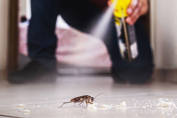 Best Termite Control Services  in Lewisburg, TN