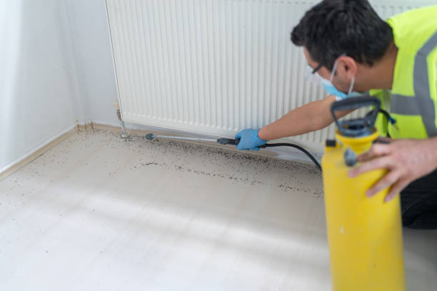 Best Pest Control for Restaurants  in Lewisburg, TN