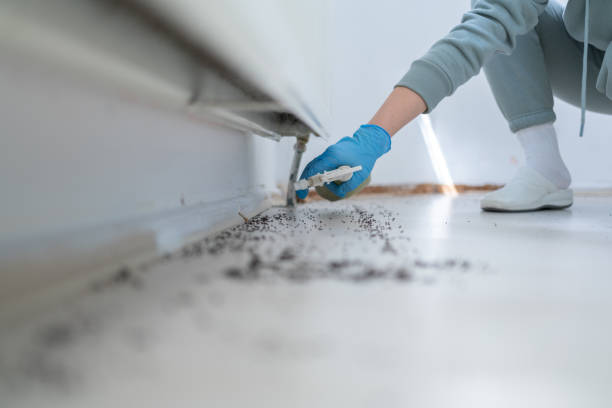 Best Pest Removal Services  in Lewisburg, TN
